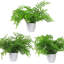 30cm Faux Plant in Pot Liner