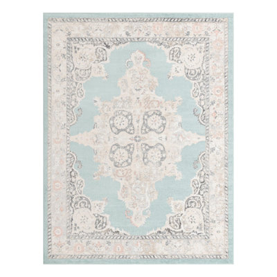 Sascha Oriental Indoor Rug