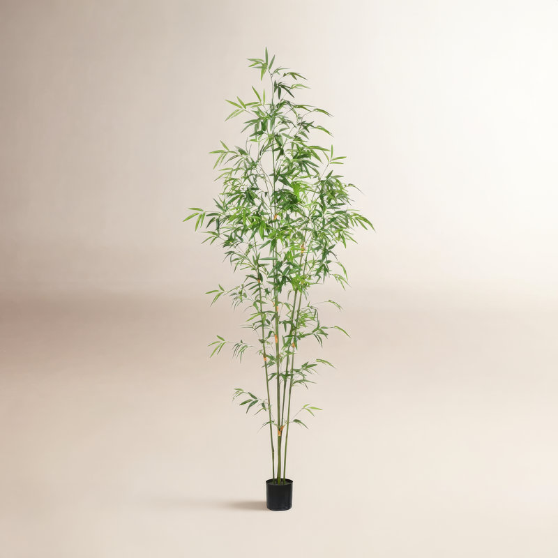 Faux Tree in Pot, 72" H x 22" W x 22" D