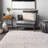 Alexys Indoor Rug-645099728