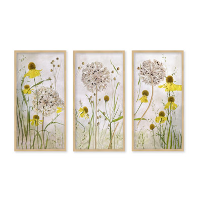 " Alliums And Heleniums " by Mandy Disher 3 - Pieces