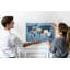 Anastassios Cork Corkboard / Bulletin Board