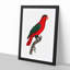 Naped Lory by F. Levaillant - Picture Frame Painting Print-55601687-55601689