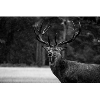 Breyon Out in the Rain 1 Piece Wrapped Canvas Wall Art
