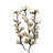 Sereno Arrangement