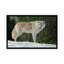 «Gray Wolf in Snow», impression sur toile-33109374-72397807-72397808