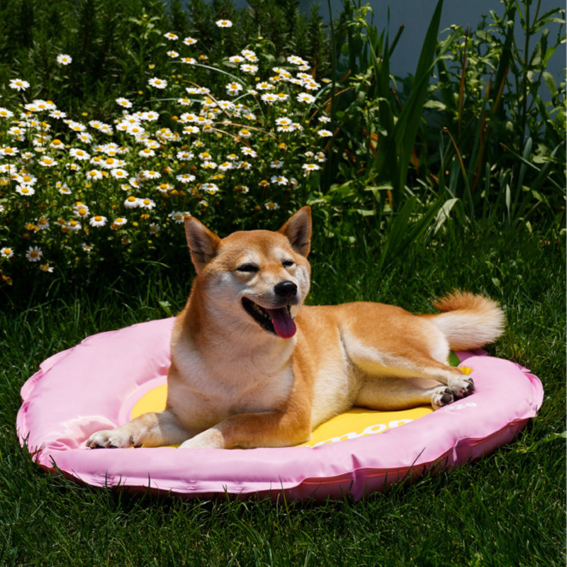 Lemon Cooling Dog Bed