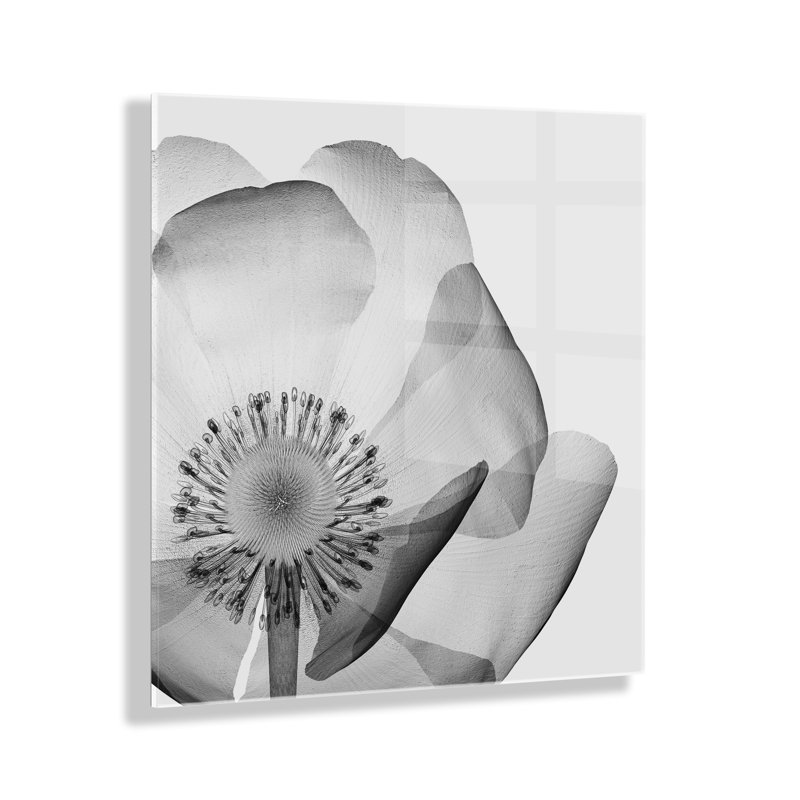 Black and White Poppy Floral Acrylic Wall Art, 27" x 27"