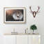 Floating Dandelion Seeds - Picture Frame Graphic Art Print-56713671-56713670