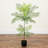 Artificial Minimalist Jacaranda Tree-975113576