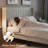 Avelyn Upholstered Platform Bed Frame with Vertical Channel Tufted Wingback Headboard-1653027205-1653027210
