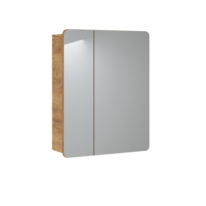 Fetush Surface Mirrored Bathroom Cabinets with Mirror and 2 Adjustable Shelves