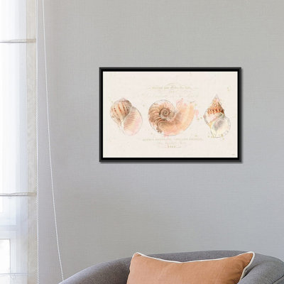 «Shell Collector I», reproduction d'impression sur toile tendue