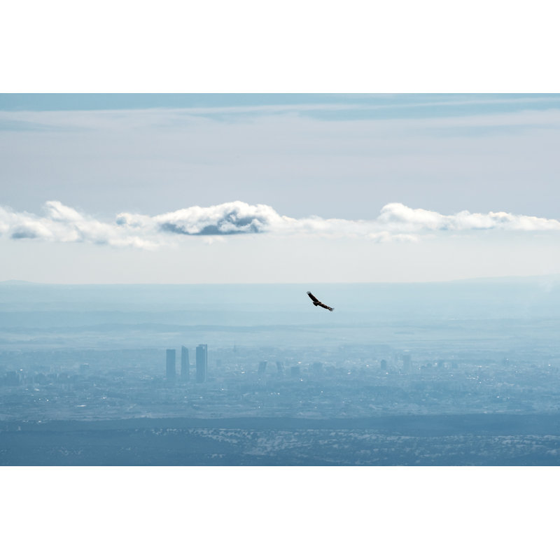 Aerial View Of Madrid by RamonCarretero - Wrapped Canvas Print, 61cm H x 91cm W