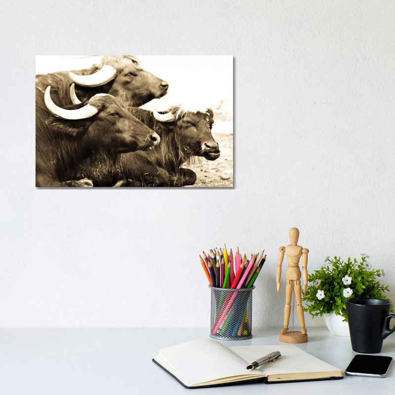Bisons I by Goran Anastasovski - Wrapped Canvas Print, 20.32 cm H x 30.48 cm W