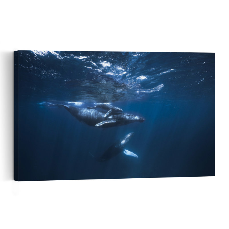 Deep Blue Whale Family Serene Contemporary Whale Nature Ocean Wall Art Print 1 Piece Wrapped Canvas Wall Art