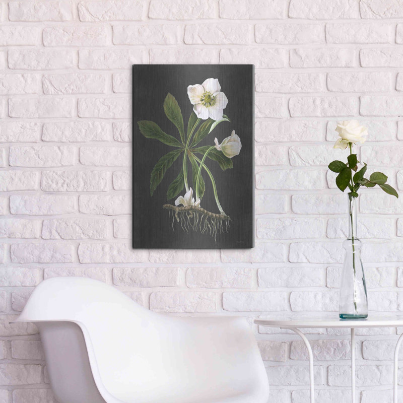 Luxe métal Art «Hellebore» par Lettered & Lined, Me «Hellebore» par Lettered & Lined, H 24 po x l 16 po