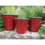 Canady Pot Planter-15753336-15753337