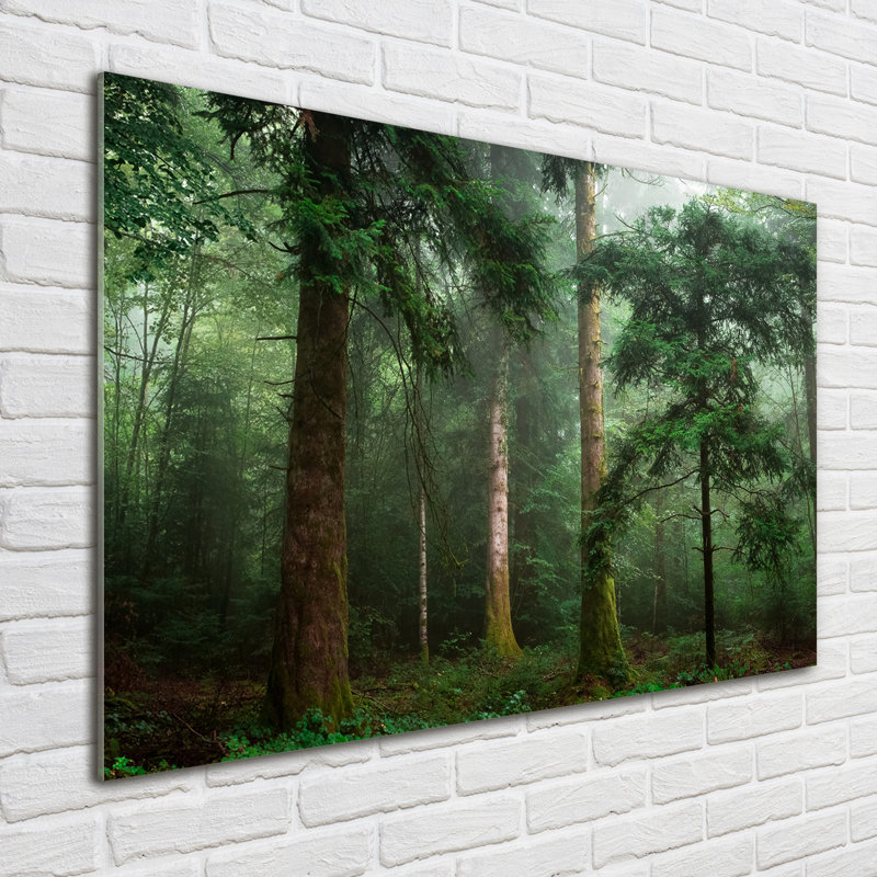 Fog In The Forest - Print