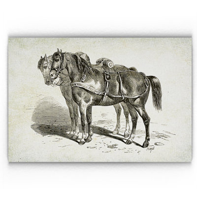 « équin assiette ii », reproduction