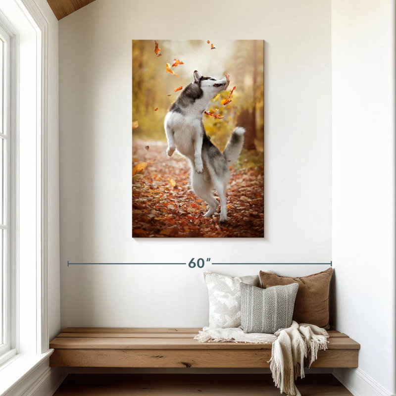 Brampt Autumn Husky Playing, 45" H x 30" W