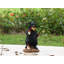  Gnomes in Trouble with Bear Garden Statue