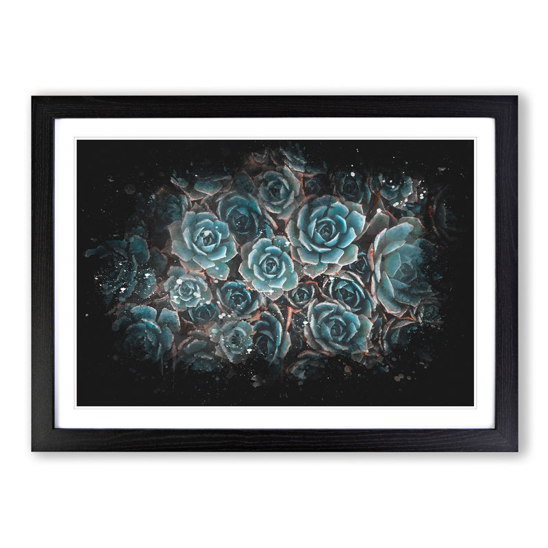 Succulent Plants - Picture Frame Graphic Art Print, 33cm H x 45cm W x 2cm D, Black Framed
