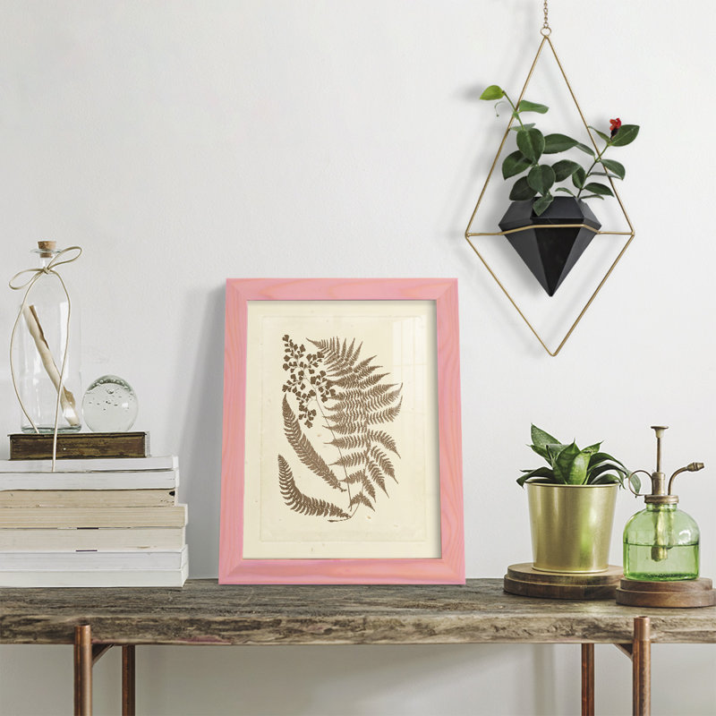 Meggan Sepia Ferns III, reproduction d'art encadrée, L 9 po x H 11 po x P 1 po, Rose