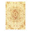 Oriental Area Rug in Beige