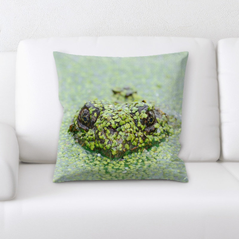 Layton Turtle Throw Pillow
