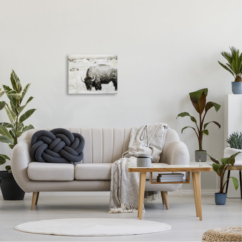 «Bullland Country Farming Country» par Daniel Sproul, L 20 po x H 16 po, Toile tendue