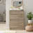 10 Pair Flip Down Shoe Storage-1274137253