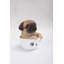 Statue de chiot carlin dans une tasse