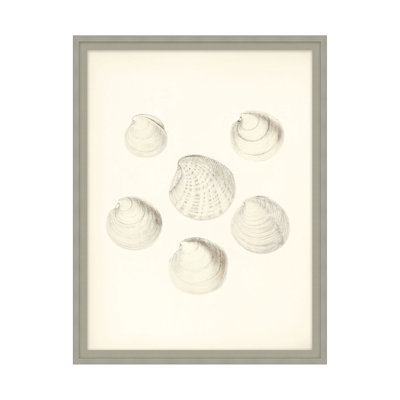 Shore's Treasure 1 Print by Studio L57 Nouvelle
