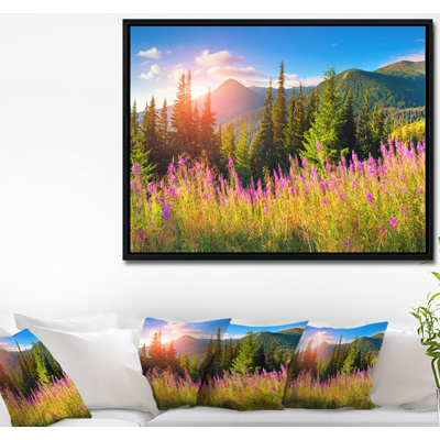 " Mountains With Pink Flowers "