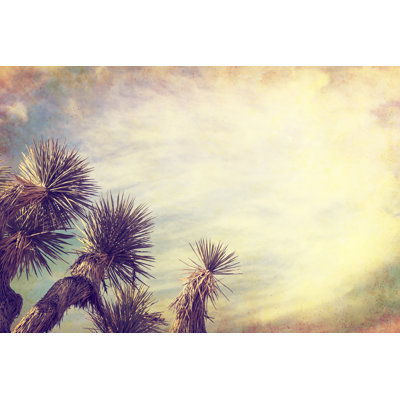 Vintage Joshua Tree 1 Piece Wrapped Canvas Wall Art