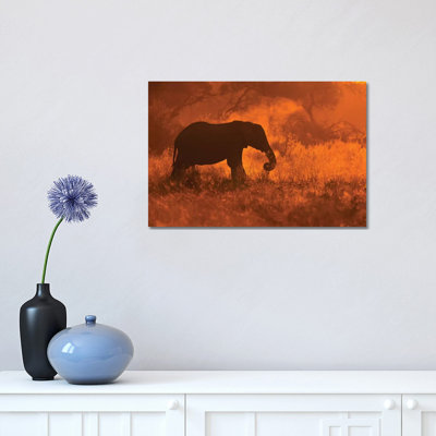 Elephant In Savute by Mario Moreno - Print on Canvas