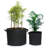 Gearonic Hydroponic Unit