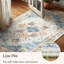 Floral 60cm X 90cm Area Rug
