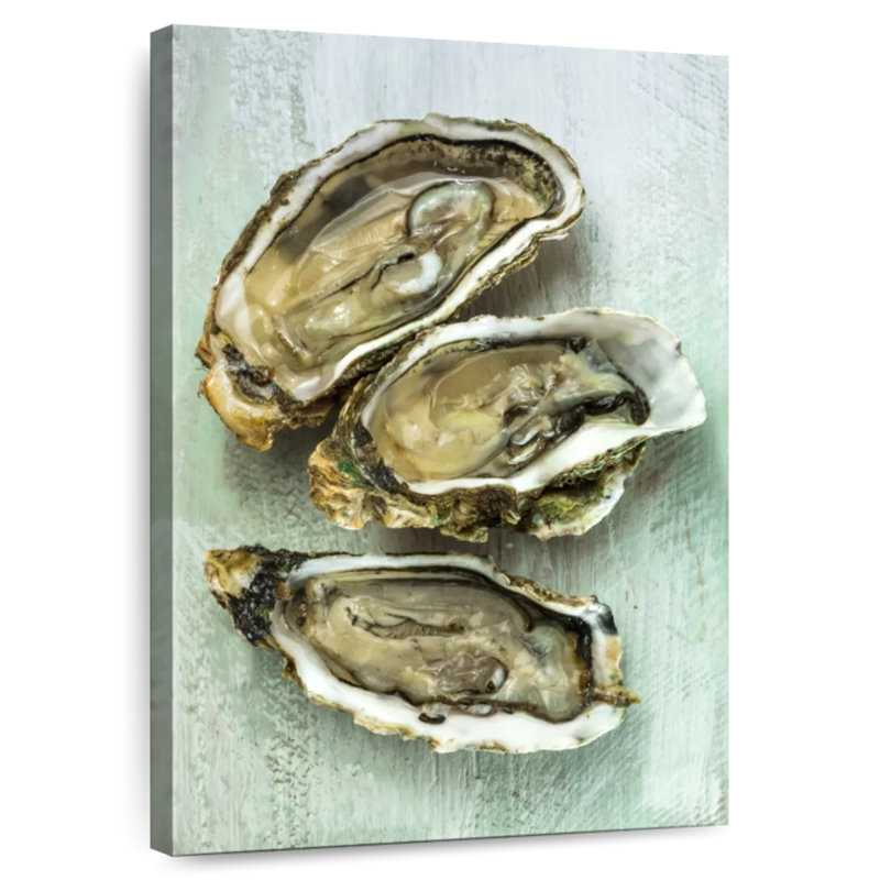Brampt Oyster Shell, 48" H x 32" W