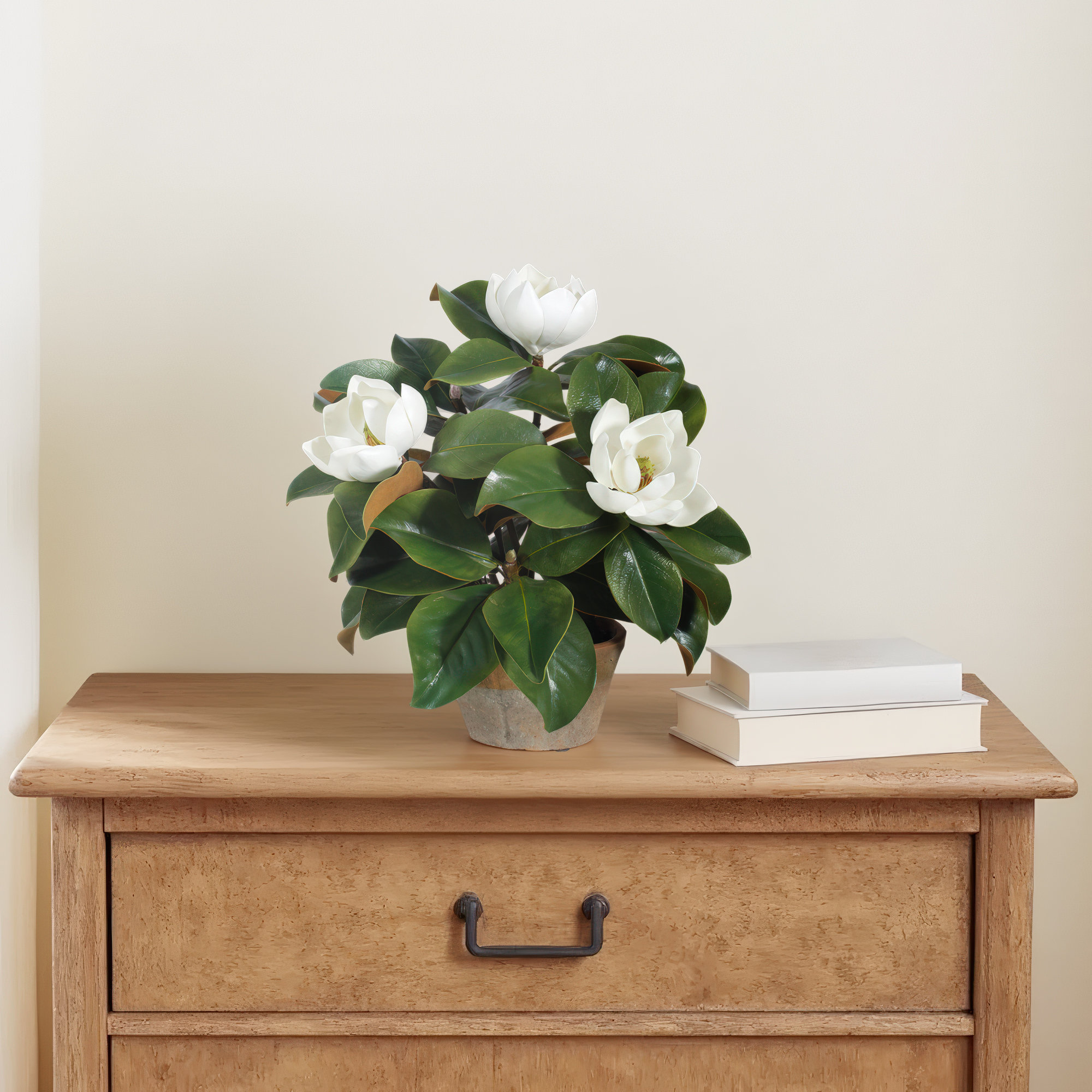 Garden Magnolia Floral Arrangement in Planter, 17" H x 18" W x 18" D