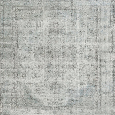Renuka Oriental Indoor Rug