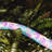 Big Joe Pool Noodle-70780863-132220309