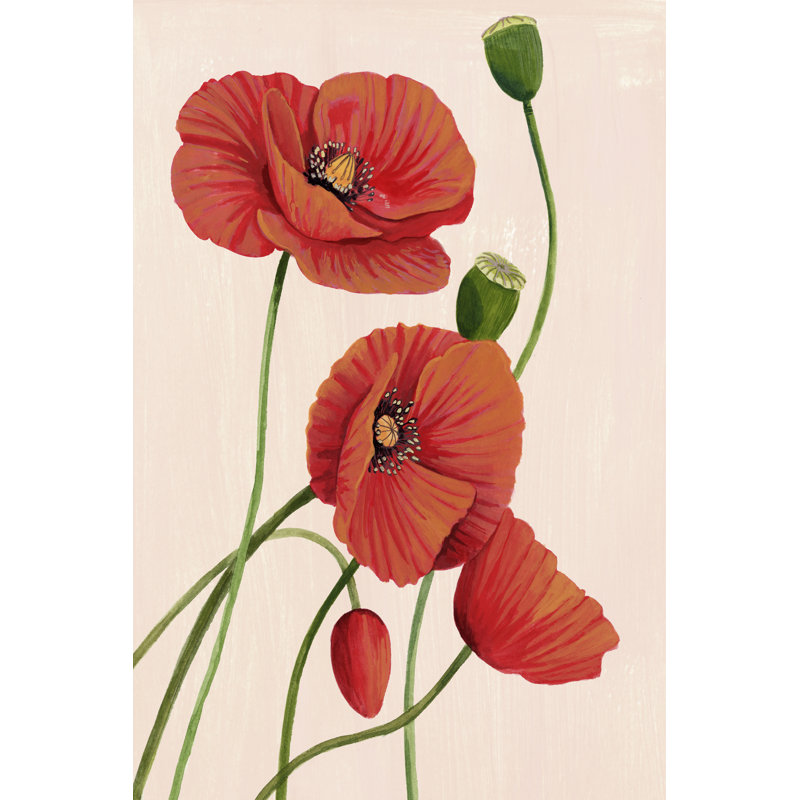 «Soft Coral Poppies I» par Grace Popp - peinture sur toile tendue, H 18 po x l 12 po x P 1,25 po