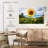 Harnek Golden Sunflower-111984301