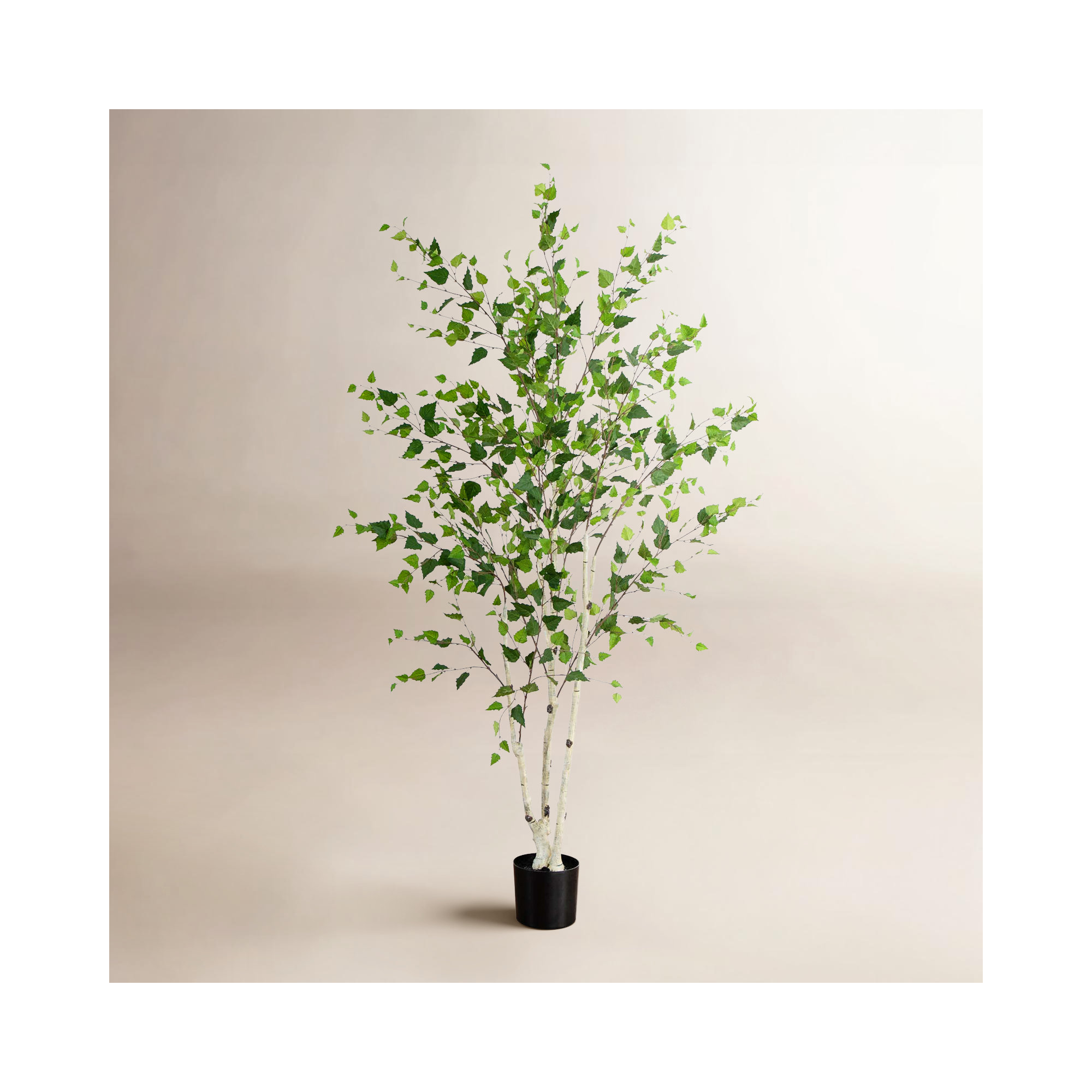 84'' Faux Birch Tree in Pot Liner