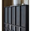 Armoire d'appoint moderne et luxueuse