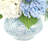 Hydrangea Centerpiece in Decorative Vase