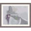 Wickham Gray 2 Print