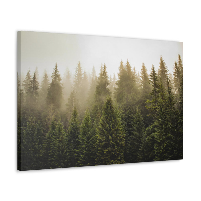 «Misty Pine Tree Forest Nature Wilderness», reproduction d'art sur toile, H 24 po x l 30 po
